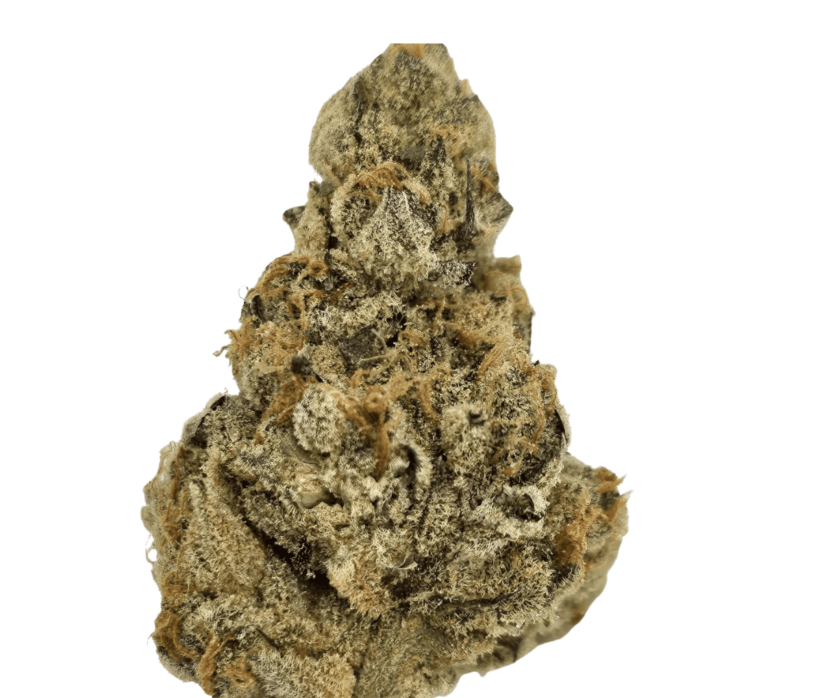 Sumo Canada Craft No.3 27/1 - Garlic Chem Sumo Canada Craft No.3 27/1 - Garlic Chem