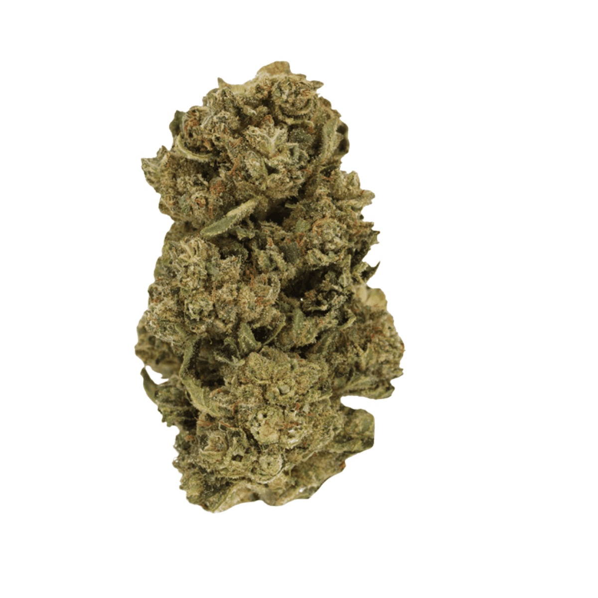Enua 25/1 CBC CA - Citron Biker Cookies Enua 25/1 CBC CA - Citron Biker Cookies