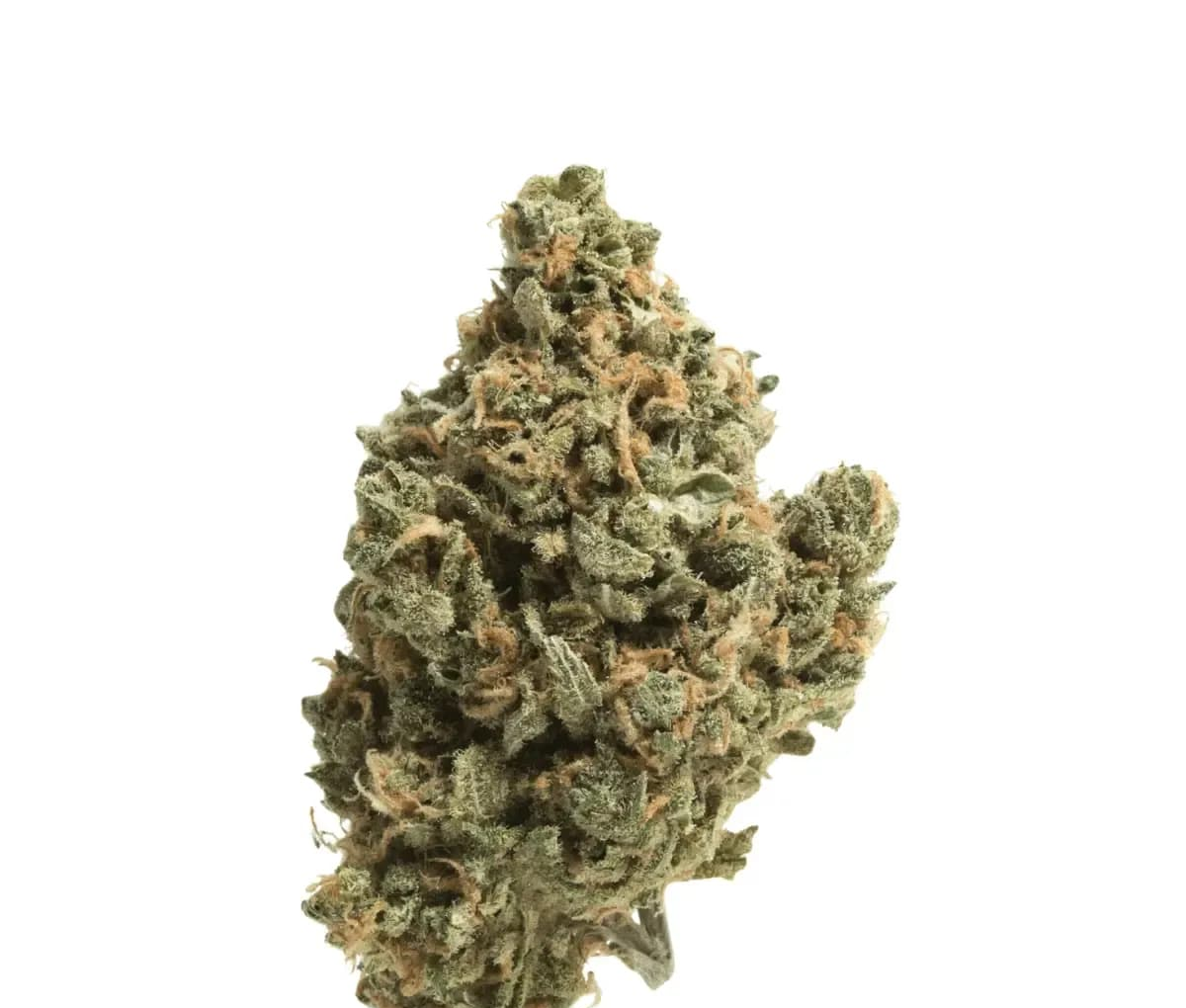 IMC GUM THC26 Selected Clownz IMC GUM THC26 Selected Clownz