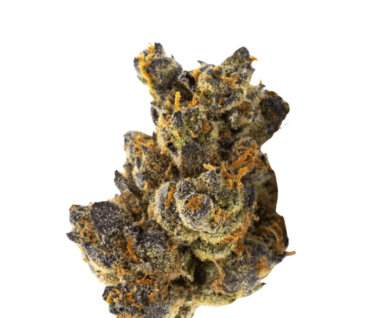 420 Compound 33/1 CA GAP - Gastro Pop 420 Compound 33/1 CA GAP - Gastro Pop