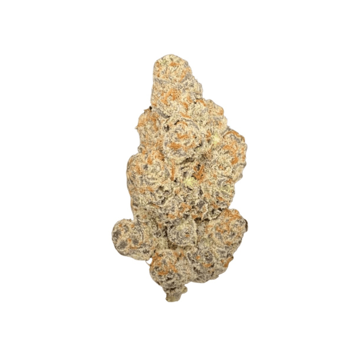 LIGHV Trials 26/1 BBL - Blueberry Banana Lobster