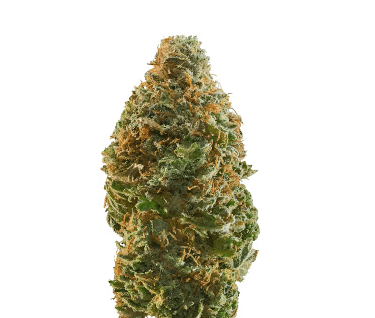 IMC E2 THC22 - Zkittlez Pie IMC E2 THC22 - Zkittlez Pie