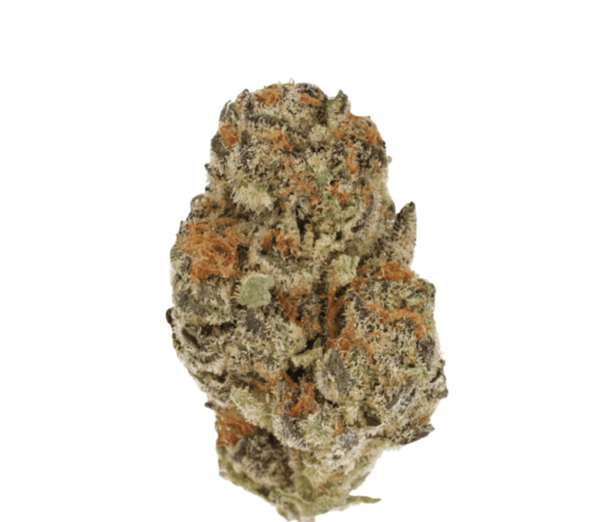 Cannamedical Indica classic ZAF Dank Wafers