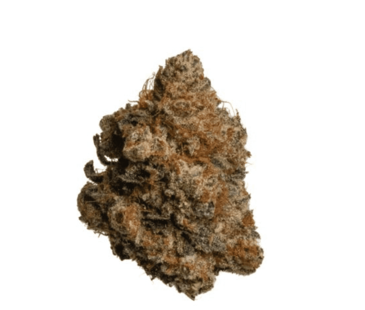 Demecan Core Cross 26/1 Crossbow Demecan Core Cross 26/1 Crossbow