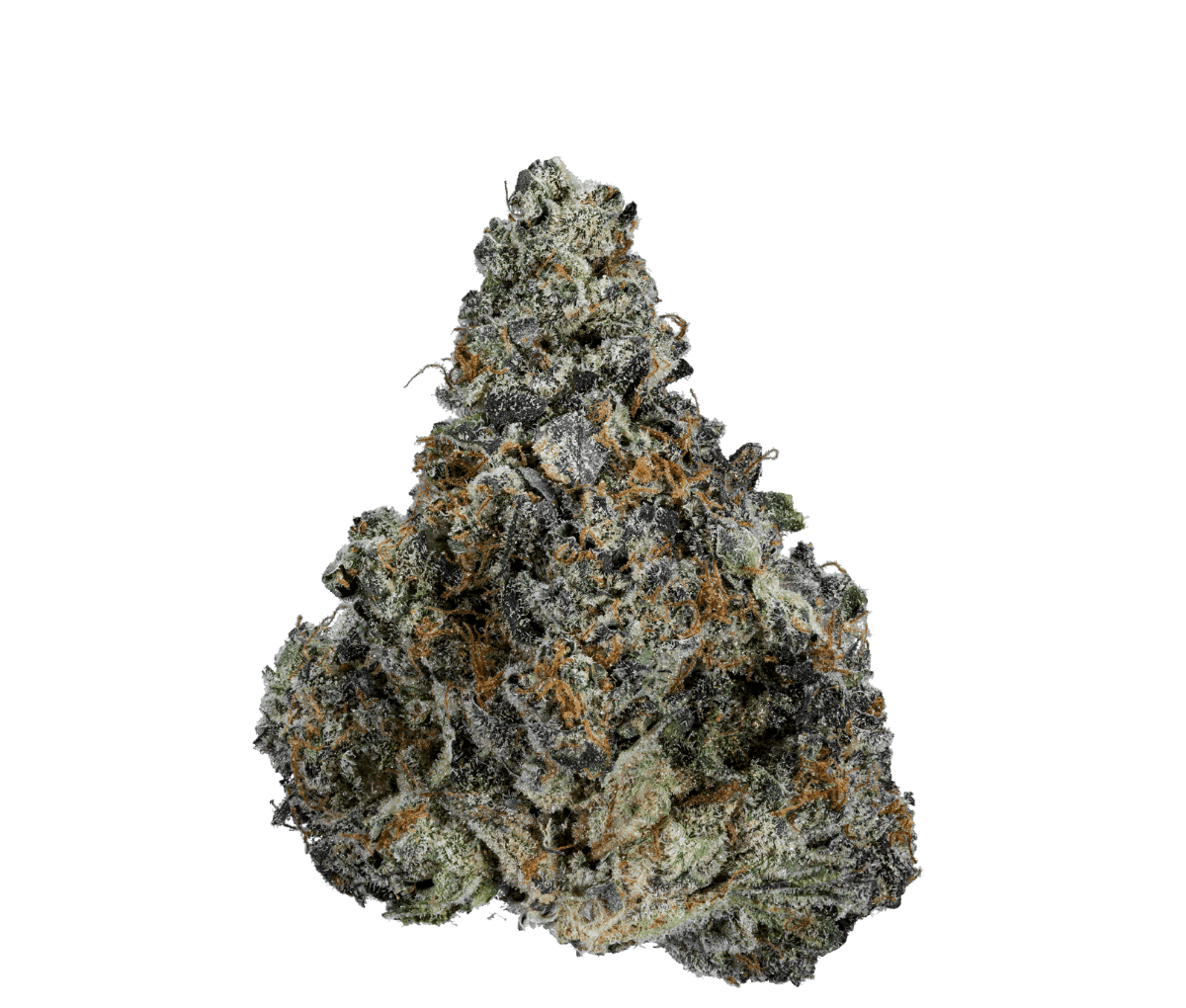 Enua 22/1 MAC F CA - MAC Flurry Enua 22/1 MAC F CA - MAC Flurry