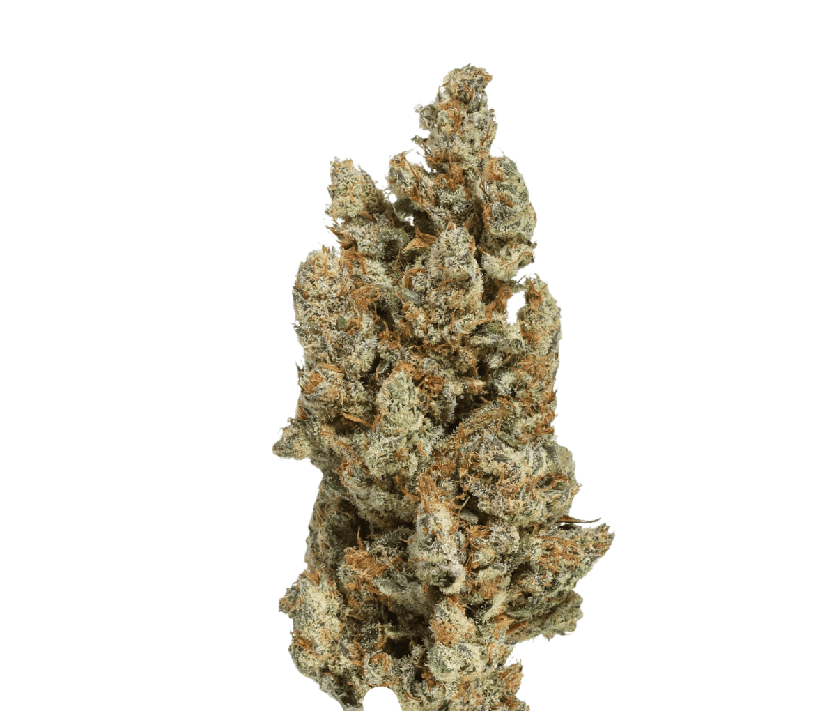 CM 20/1 GRP - Grapefruit Gift