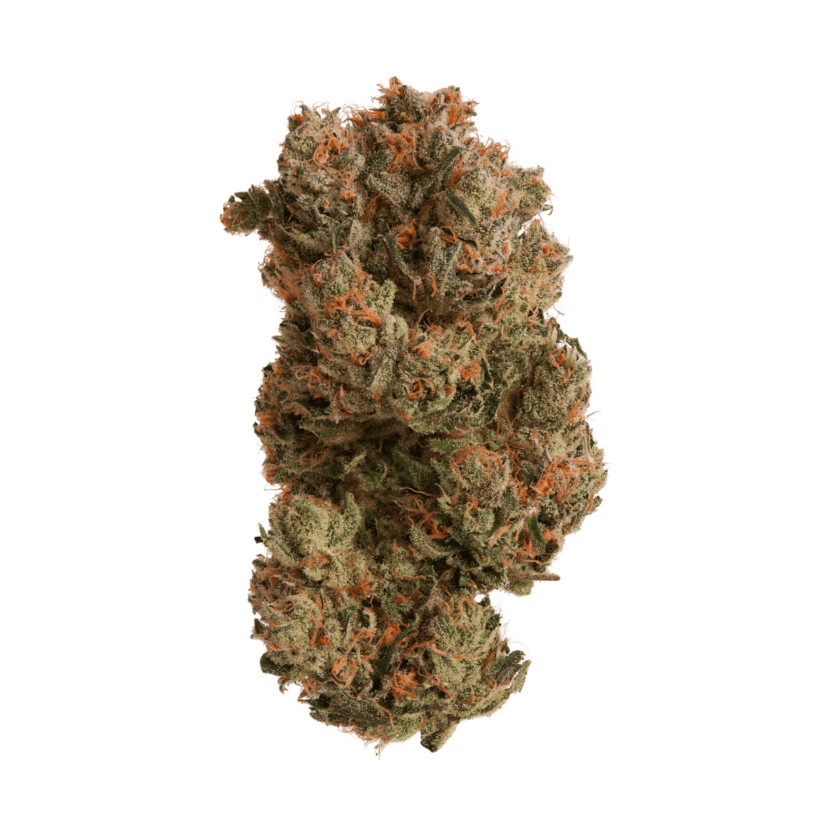buuo 24/1 BBB - Banana Bonbon