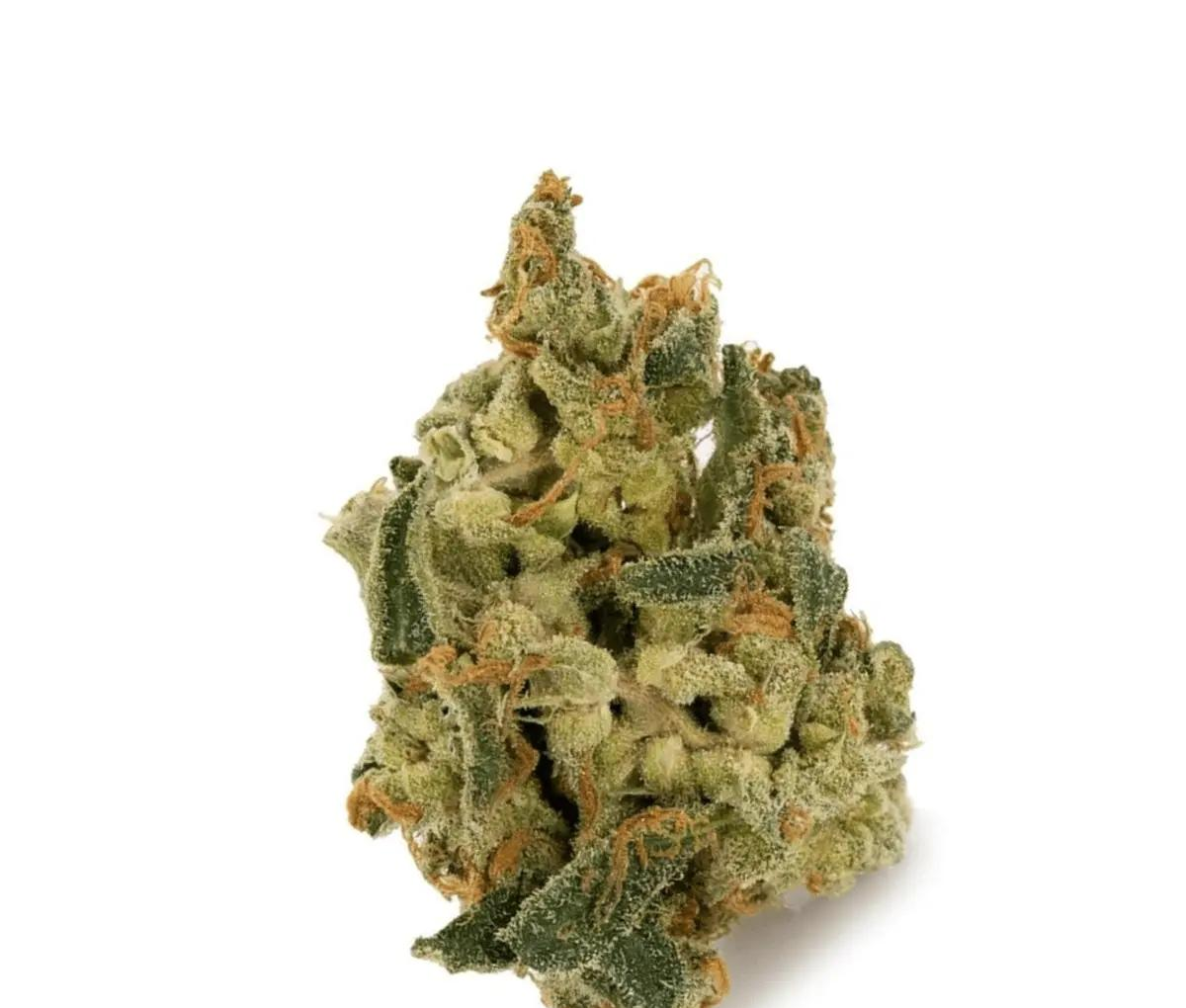 IMC THC22 T05 - Somango Skunk