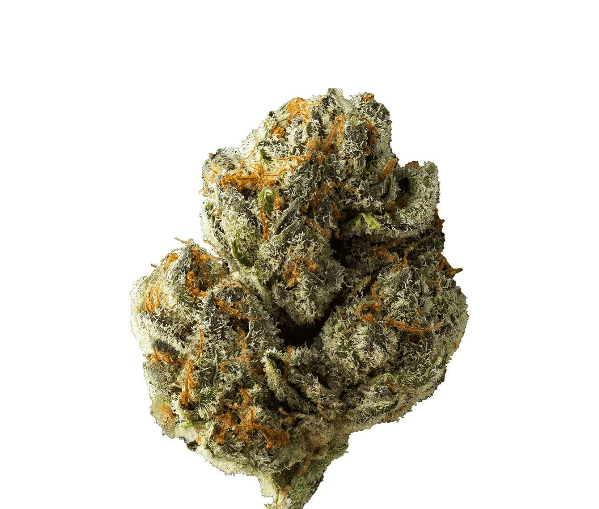 Cannamedical CM 30/1 DM Diamond Mints Cannamedical CM 30/1 DM Diamond Mints