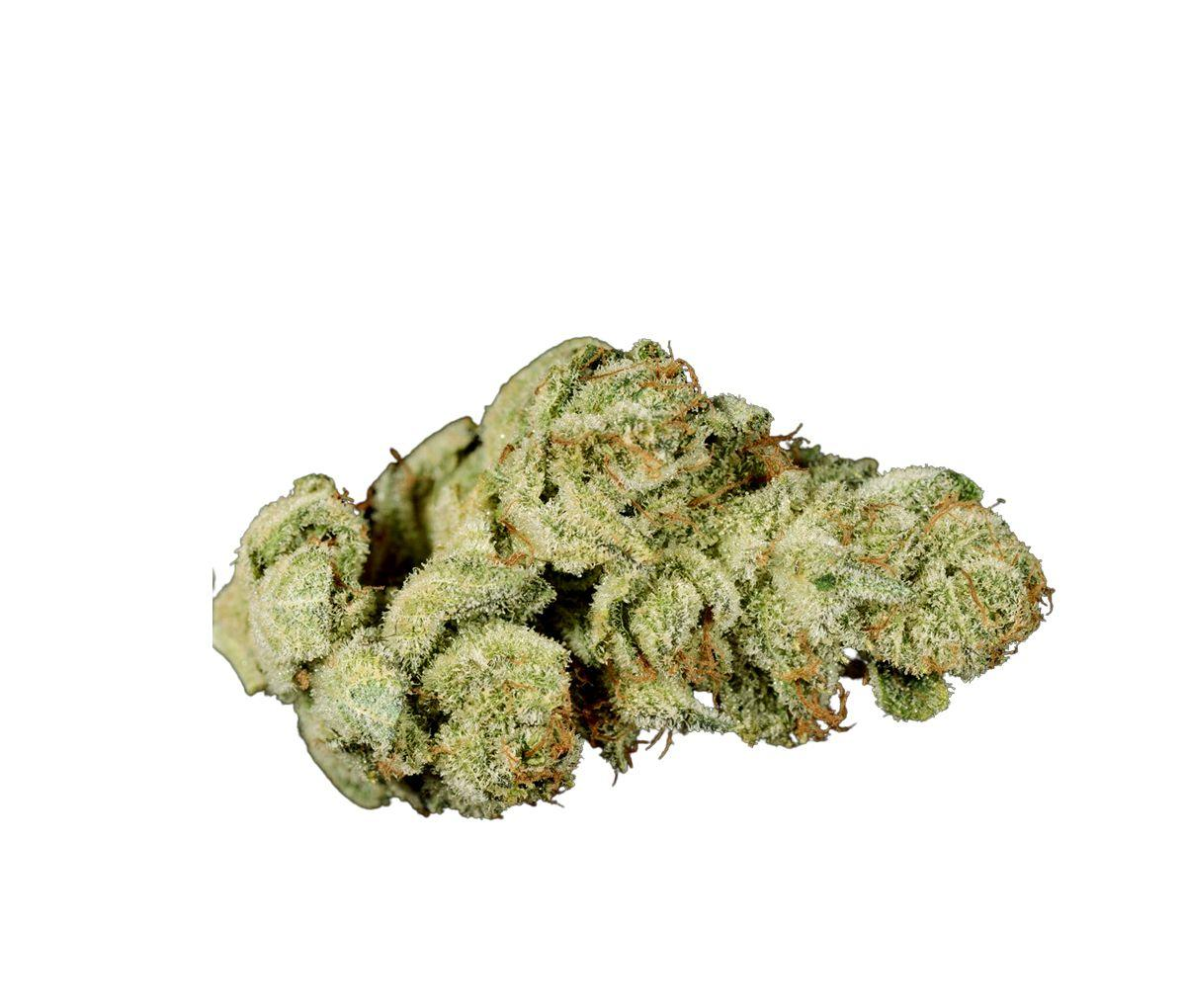 IMC THC25 T03 - T03 Gorilla Glue 4