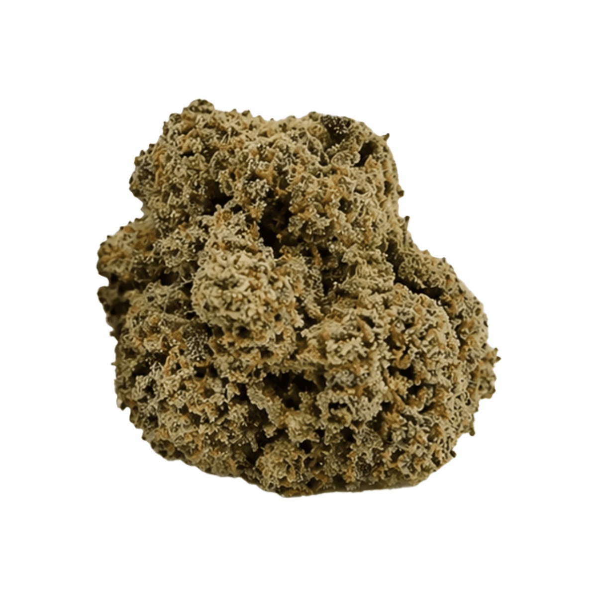AMP KHI PEG THC21 - Peach Gelato AMP KHI PEG THC21 - Peach Gelato