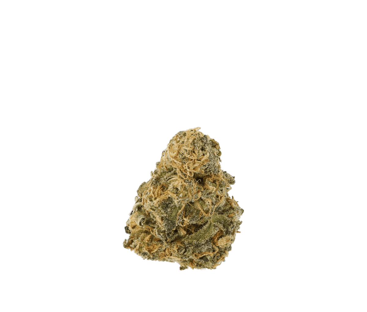 Cannamedical Sativa classic NM Gelato Dream Cannamedical Sativa classic NM Gelato Dream